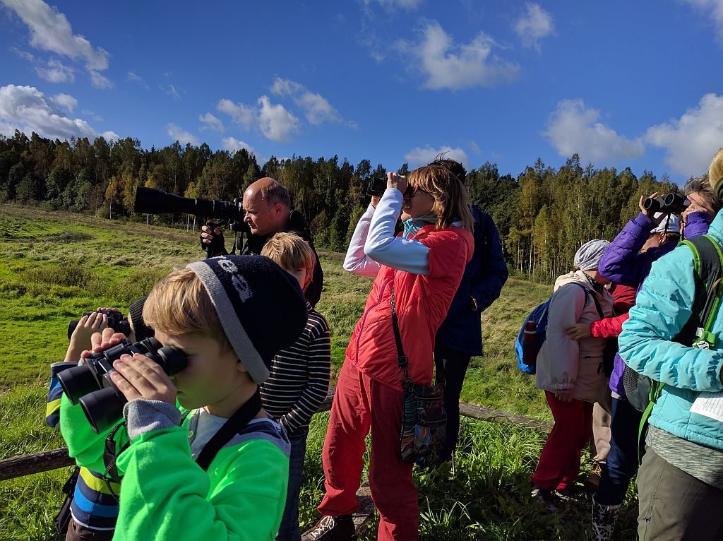 Putnu vērošana Ķemeru nacionālajā parkā, Eiropas putnu vērošanas dienas 2016. Foto: Baiba Roga